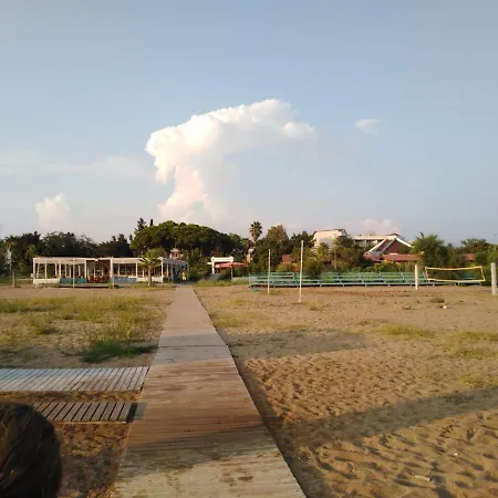 Yali Turizm Orsem