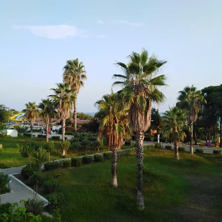 Yali Turizm Orsem Side